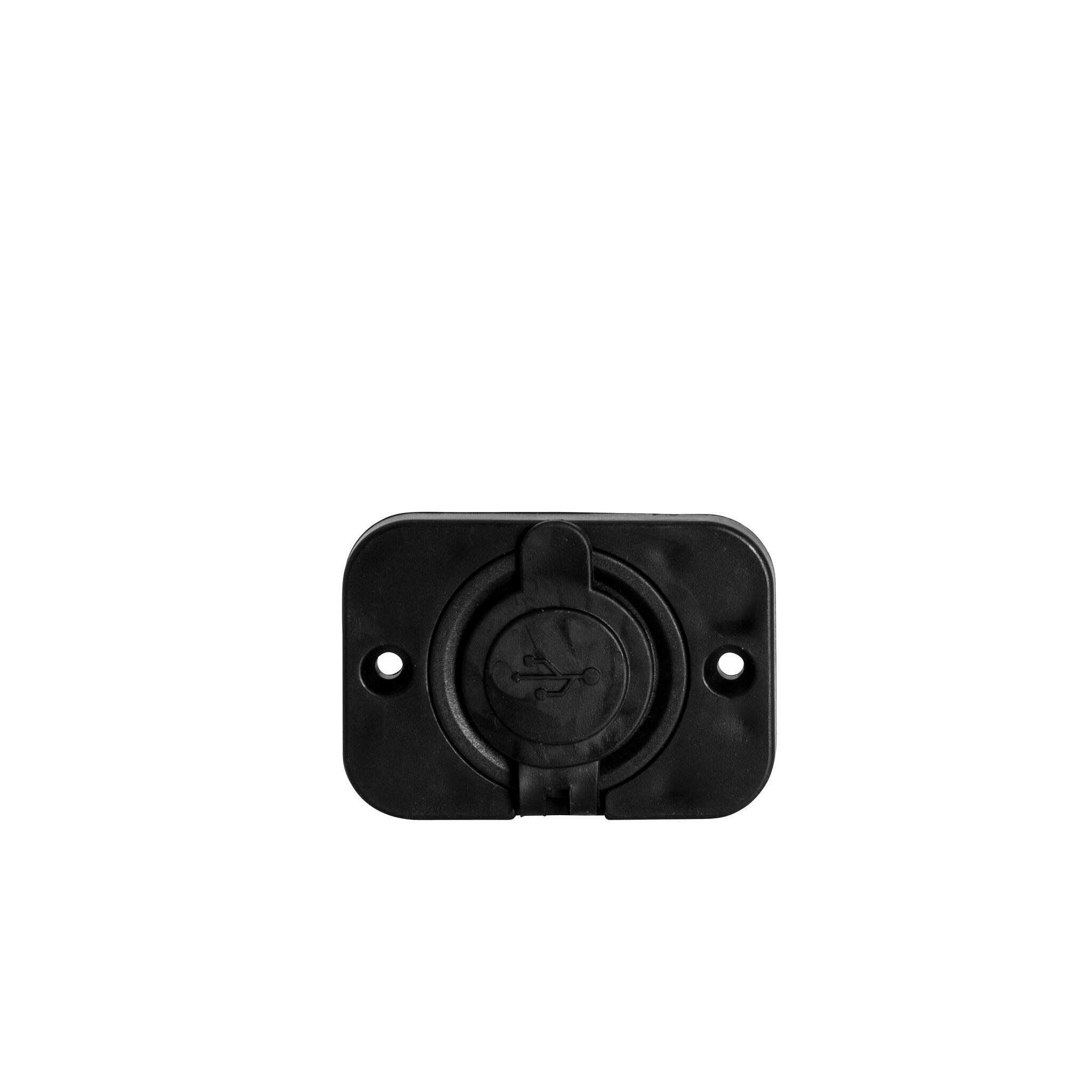 USB Doppel-Einbau-Steckdose 12/24 Volt